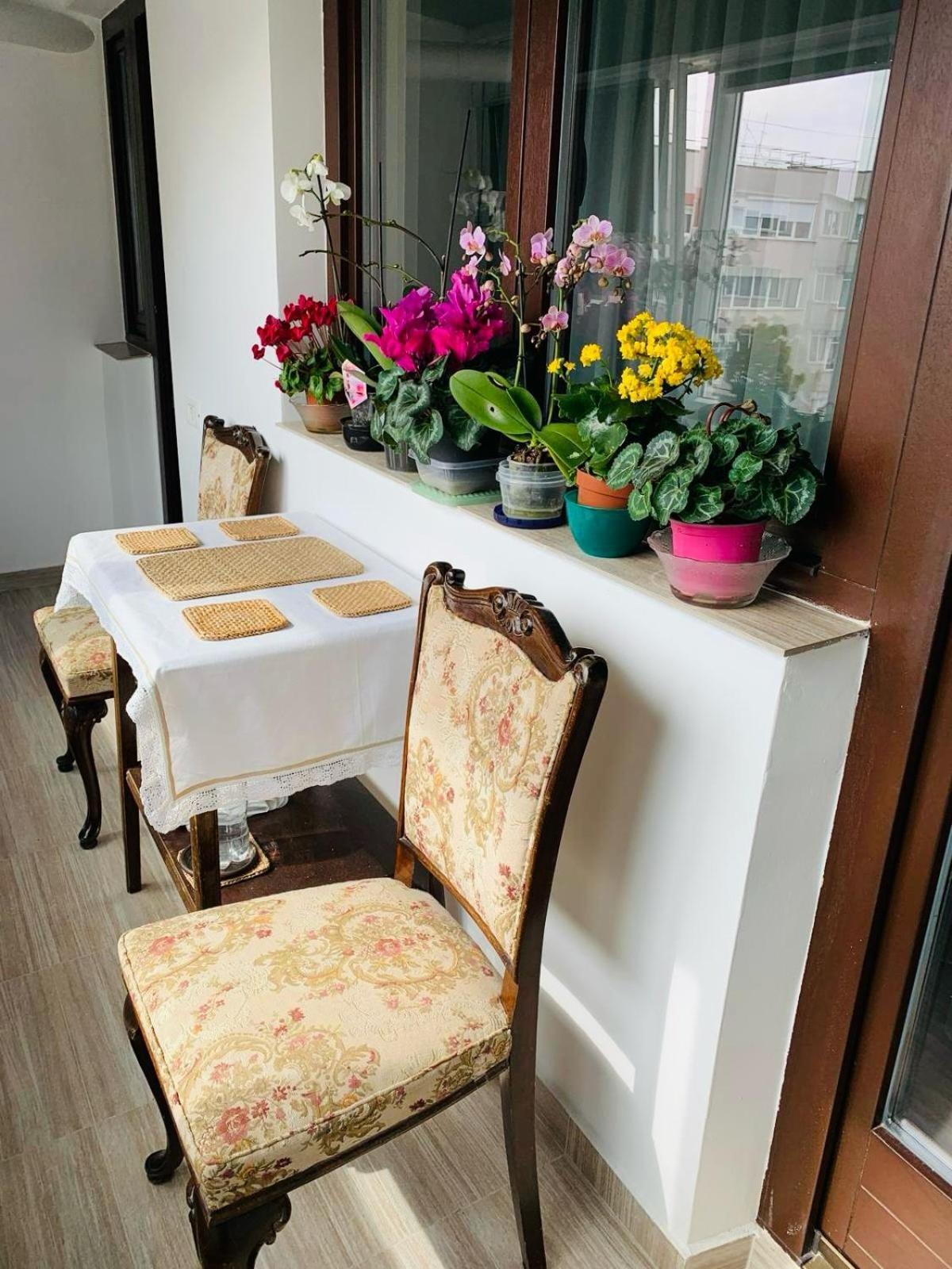 Sofiart Apartment Bucharest Exterior photo